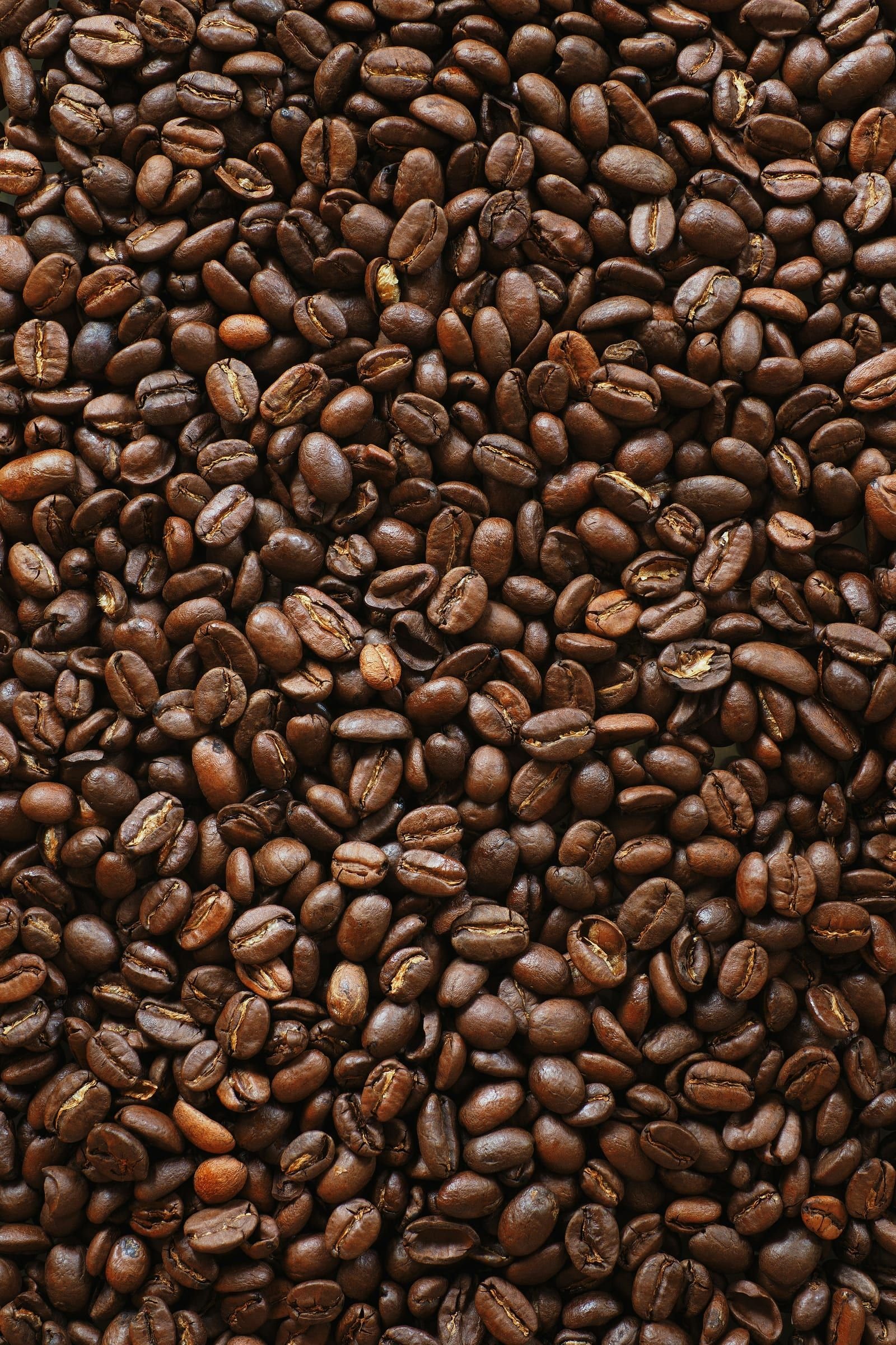 Fresh roasted coffee beans